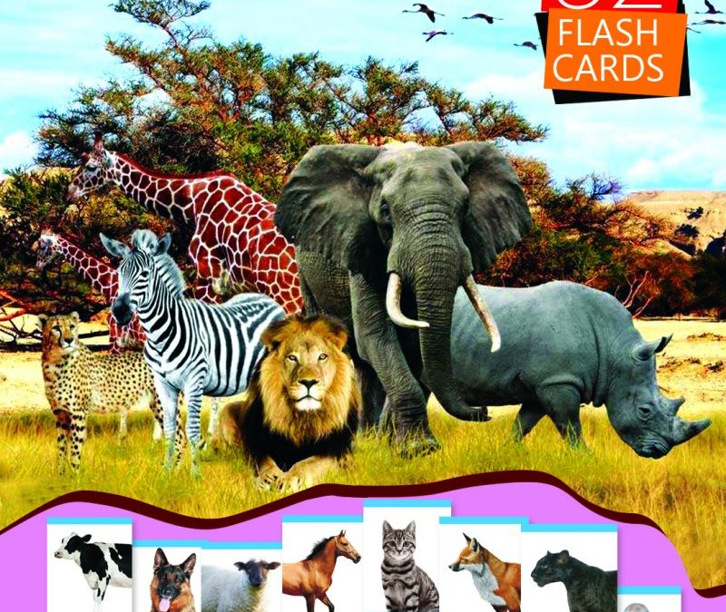 Animals